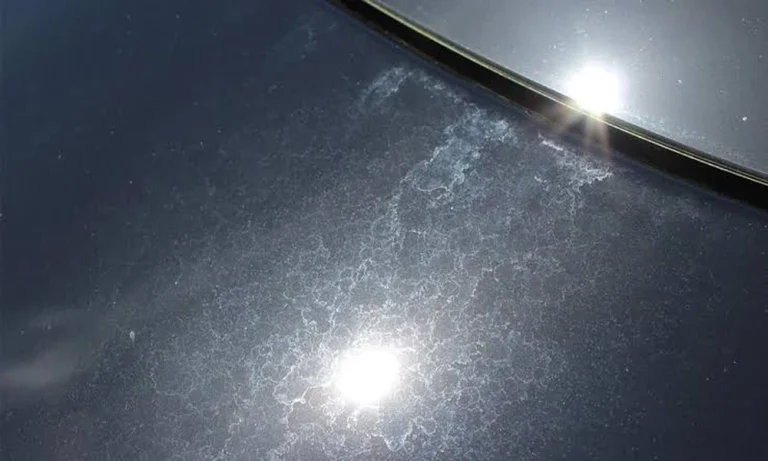Water Spots on Car Paint: What Causes Them and How to Remove Them